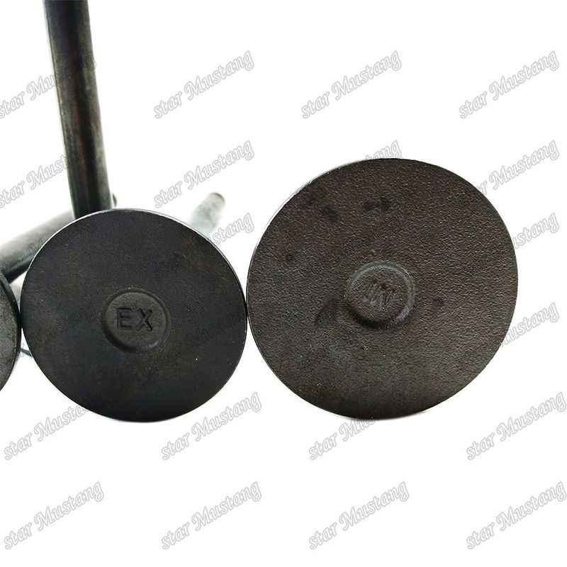 Válvula de Estrutura Integral T3000 Parte do Motor Diesel Original Stock com suporte online Após