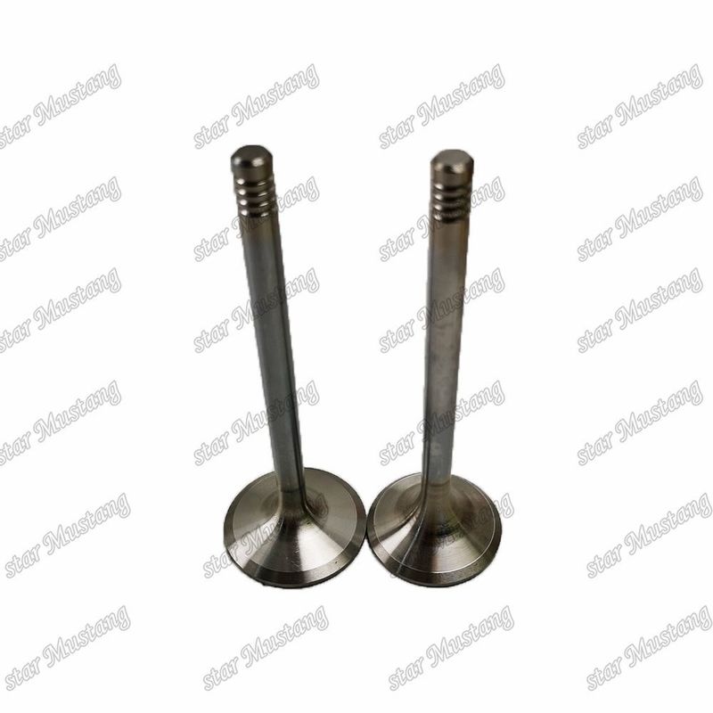 D924 IN 9279578 EX 9279579 Peças de motor diesel em stock original com suporte online