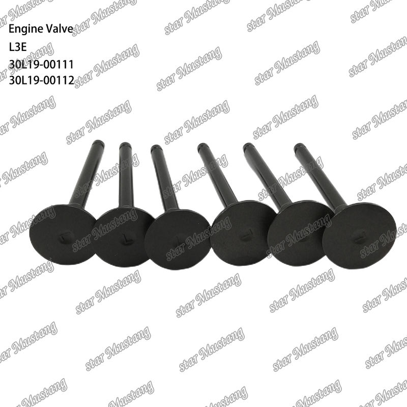 L3E 30L19-00111 30L19-00112 Diesel Engine Parts Original Stock com suporte online Após