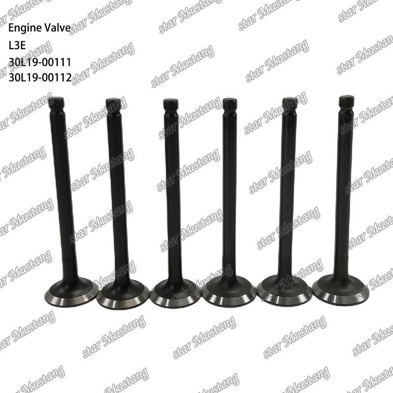 L3E 30L19-00111 30L19-00112 Diesel Engine Parts Original Stock com suporte online Após