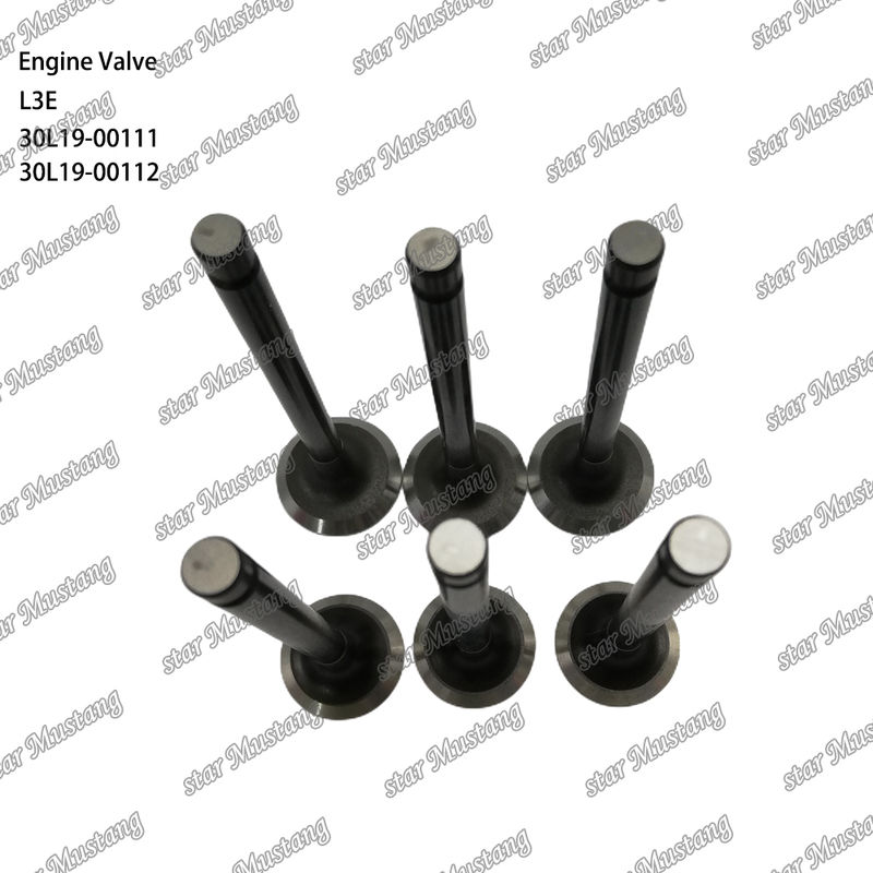 L3E 30L19-00111 30L19-00112 Diesel Engine Parts Original Stock com suporte online Após