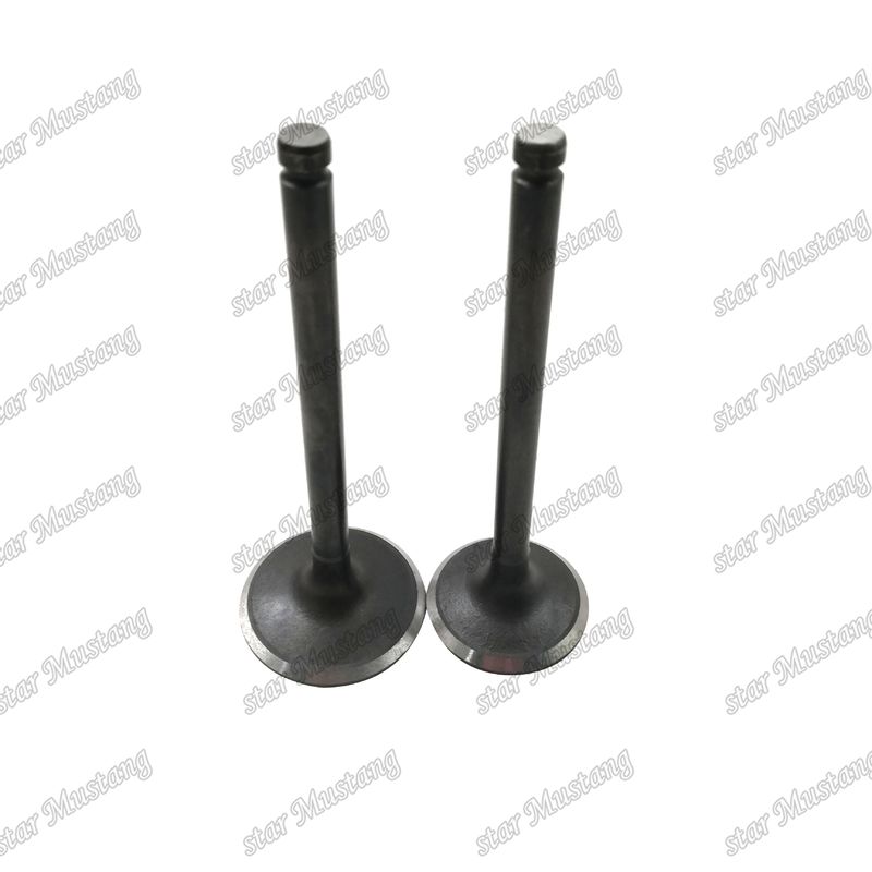 Válvula de Estrutura Integral TD42 para Motor Diesel Peça Original em Estoque com Suporte Online