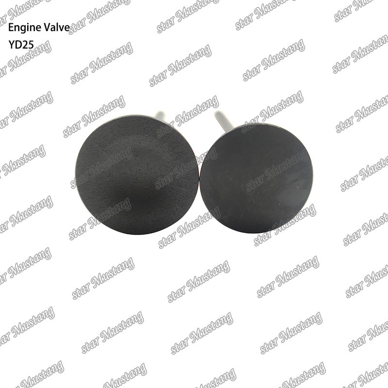 Válvula de Estrutura Integral YD25 Motor Diesel Peça Original em Estoque com Suporte Online