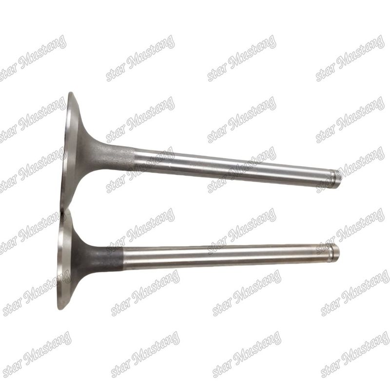 Válvula de Estrutura Integral 3142L072 3142A151 Peça do Motor Diesel Estoque Original com Suporte Online Depois