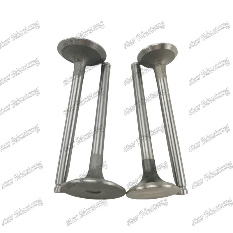 Válvula de Estrutura Integral 1004 3142L072 3142A051 Peça de Motor Diesel Estoque Original com Suporte Online Após