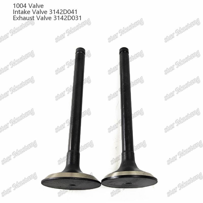 Válvula de Estrutura Integral 1004 3142D041 3142D031 Peça de Motor Diesel Estoque Original com Suporte Online Após