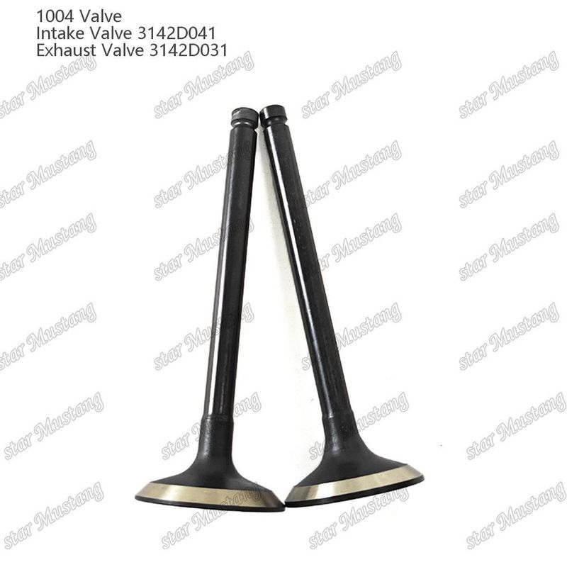 Válvula de Estrutura Integral 1004 3142D041 3142D031 Peça de Motor Diesel Estoque Original com Suporte Online Após