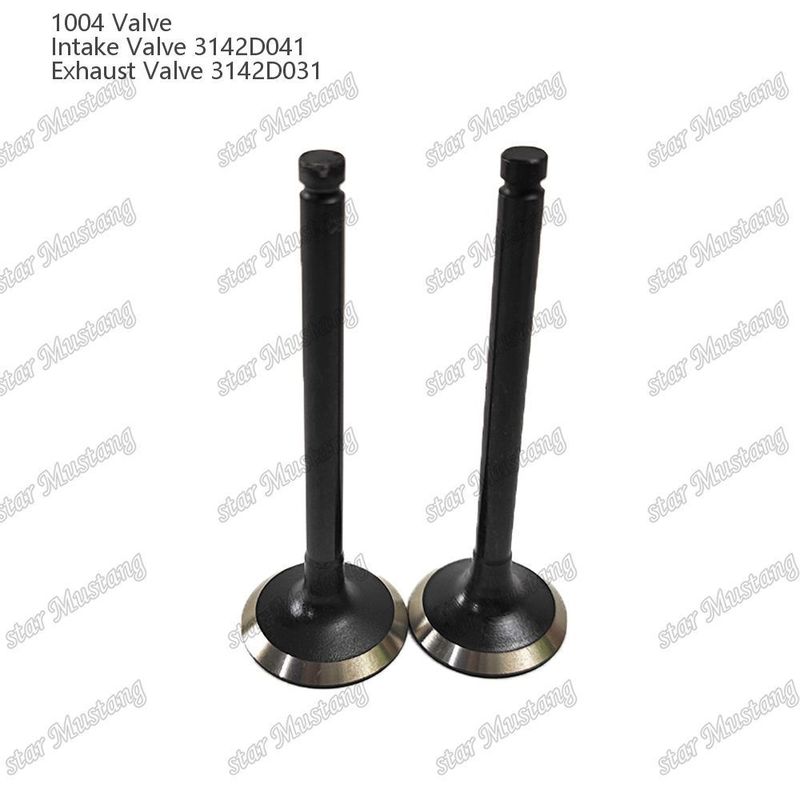 Válvula de Estrutura Integral 1004 3142D041 3142D031 Peça de Motor Diesel Estoque Original com Suporte Online Após