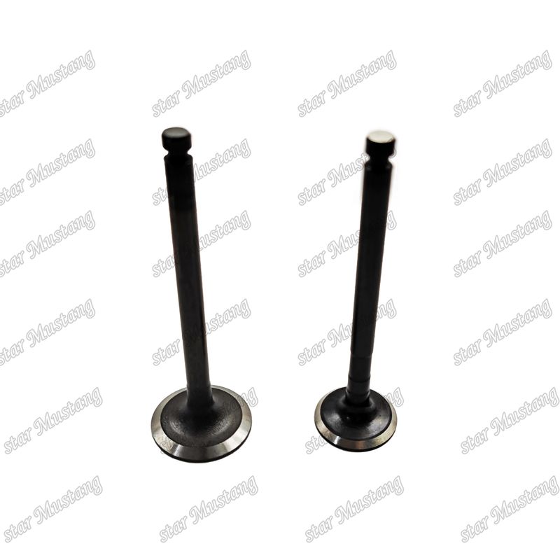 Válvula de Estrutura Integral 3TNV88 Diesel Engine Parts Original Stock com suporte online Após
