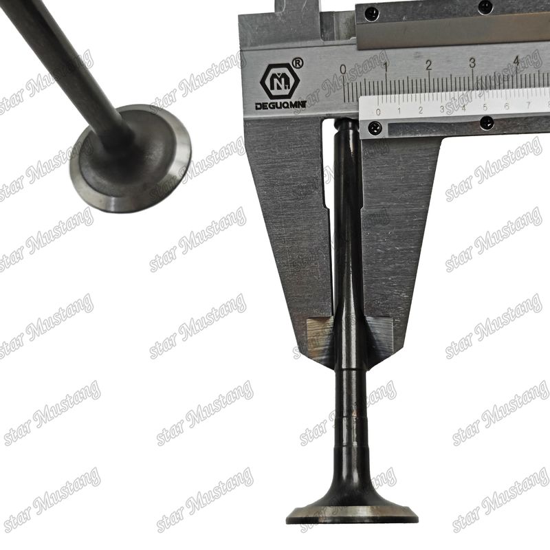 Válvula de Estrutura Integral 3TNV88 Diesel Engine Parts Original Stock com suporte online Após